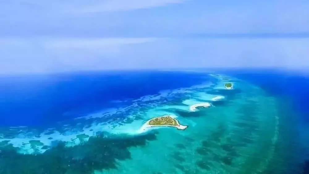 “海南自由港”震撼登場(chǎng)！40個(gè)亮點(diǎn)東方和利帶你一文看懂